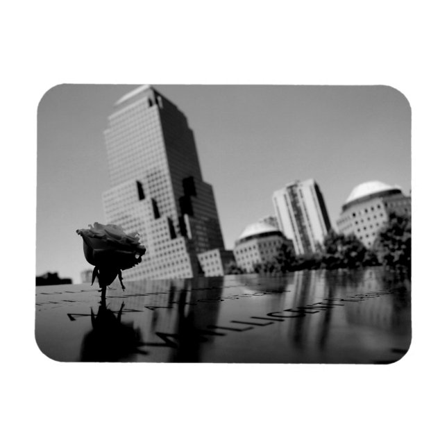 White rose of remembrance magnet (Horizontal)