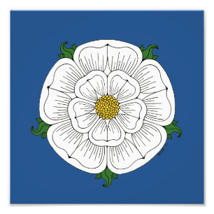 White Rose of York Photo Print