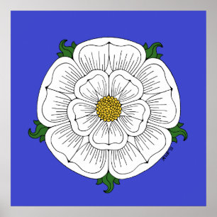 White Rose of York Poster