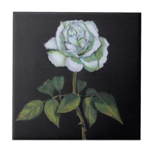 White Rose on Black Background: Colour Pencil Tile