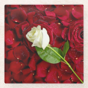 White Rose On Red Petals Glass Coaster