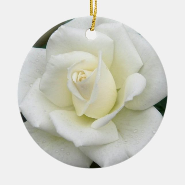 White Rose Ornament (Front)