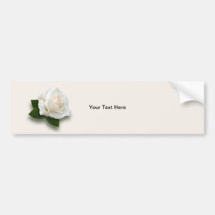 White Rose 'Pascali' Bumper Sticker