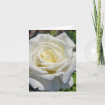White Rose Personalised Greeting Card