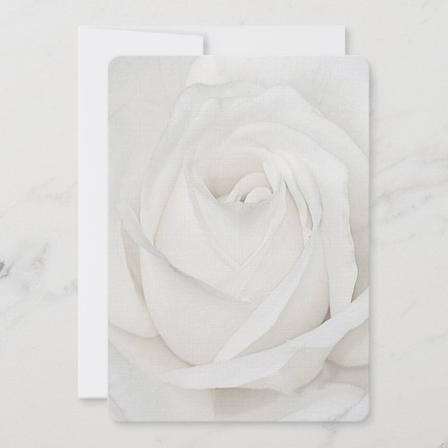 white Rose Petals Card (Front)