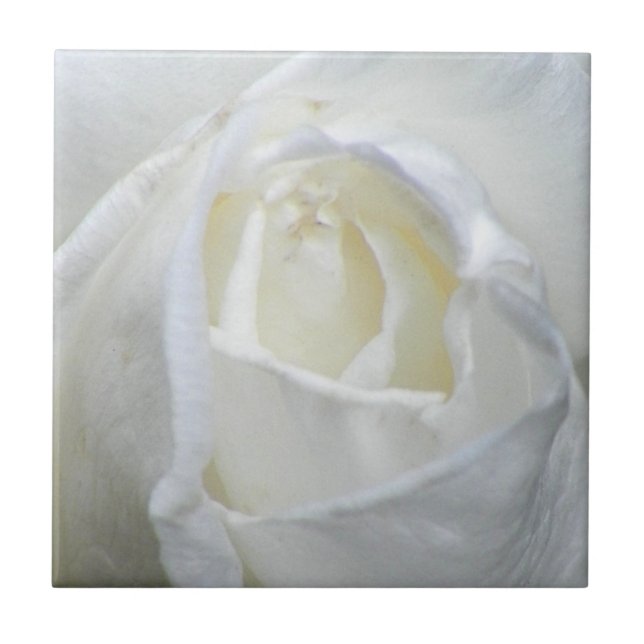 White Rose Photo Valentine Tile (Front)