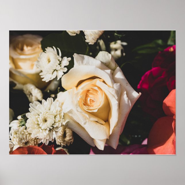 White Rose Photography Poster (Front)