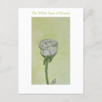 White Rose Postcard or Note