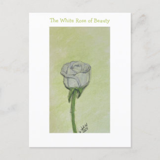 White Rose Postcard or Note