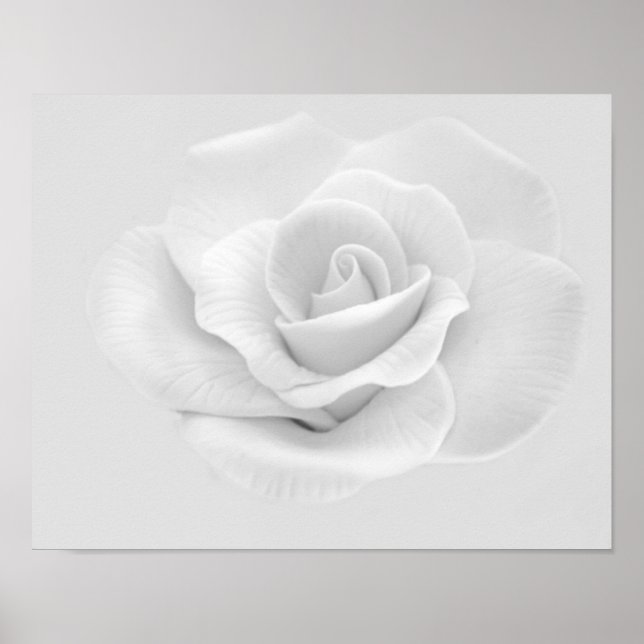 White Rose Poster (Front)