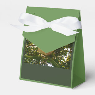 White Rose Ribbon Gift Favour Box