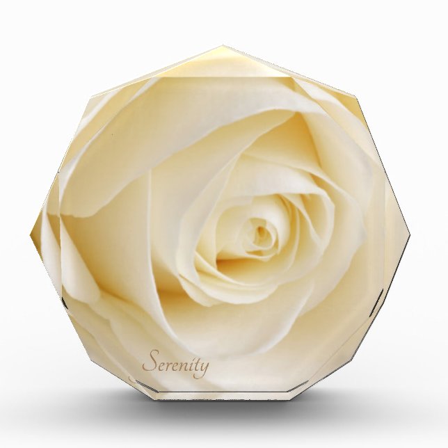 White Rose Serenity Beautiful Flower Rosebud Photo Block (Front)