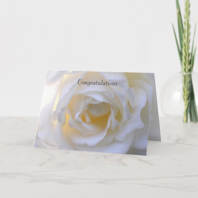 White rose soft focus card (Front)