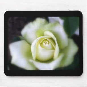 White Rose Soft Focus Mouse Pad