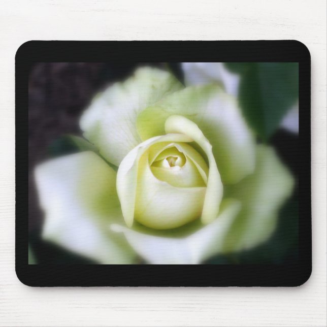 White Rose Soft Focus Mouse Pad (Front)
