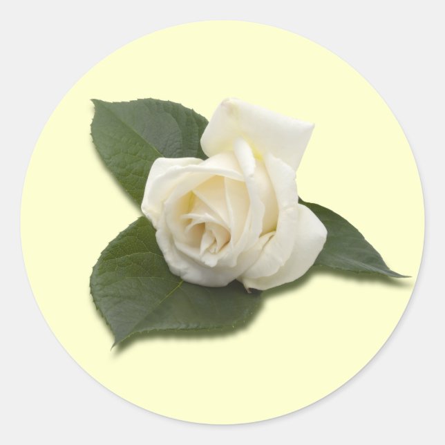 White Rose Sticker (Front)