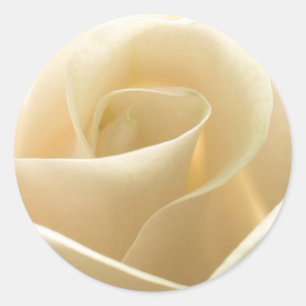 White Rose stickers