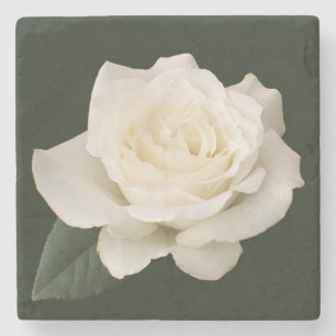 White Rose Stone Coaster