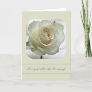white rose  sympathy card dutch