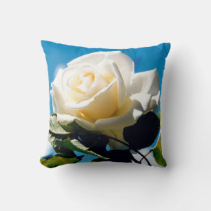 White rose under blue sky cushion
