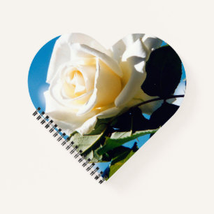 White rose under blue sky notebook