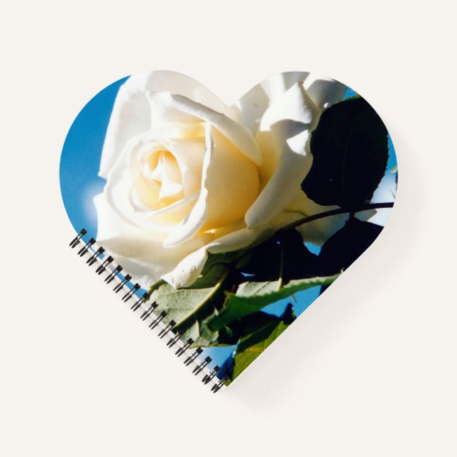White rose under blue sky  notebook (Front)
