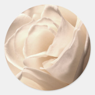 White Rose Wedding Envelope Seal Large