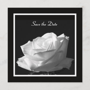 White Rose Wedding Save the Date Invite