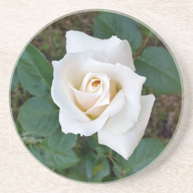 white rosebud coaster (Front)