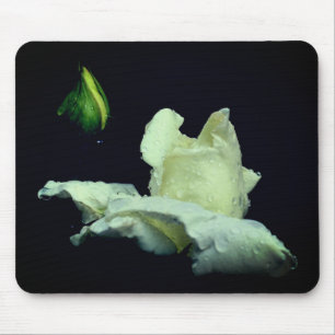 White Rosebud Flower Photography  Mouse Pad