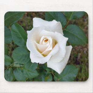 white rosebud mouse pad