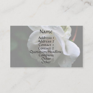 White Rosebud Raindrops Floral Business Card