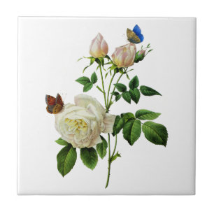 White Roses and Butterflies by Redoute Ceramic Tile