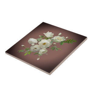 White roses on dark red   ceramic tile
