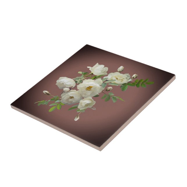 White roses on dark red   ceramic tile (Side)
