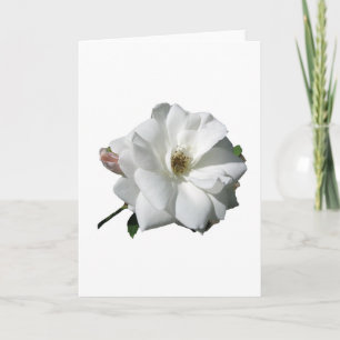 White Roses Party Shower Wedding Blossoms Destiny Thank You Card