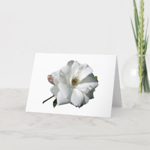 White Roses Party Shower Wedding Blossoms Destiny Thank You Card