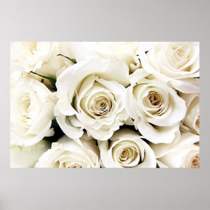 White Roses Poster