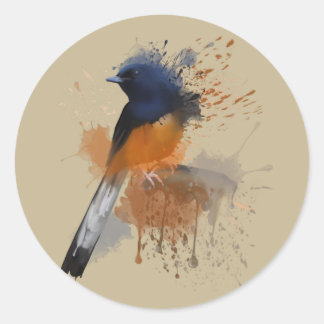 White Rumped Shama Bird Classic Round Sticker