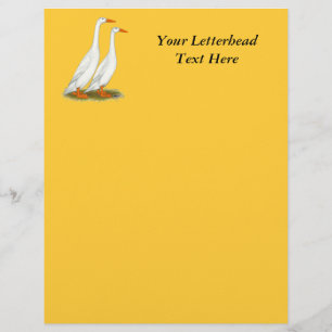 White Runner Ducks