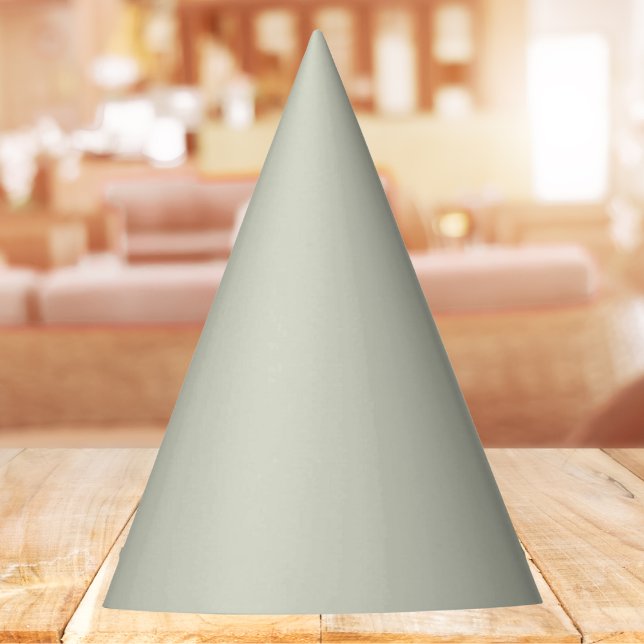 White Sage Solid Colour Party Hat (Creator Uploaded)