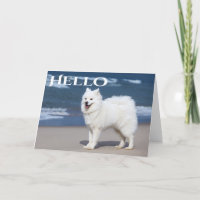 White Samoyed Puppy Dog - Hello, Thinking Of You