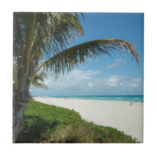 White Sand Beach w/Palm Ceramic Tile