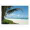 White Sand Beach w/Palm