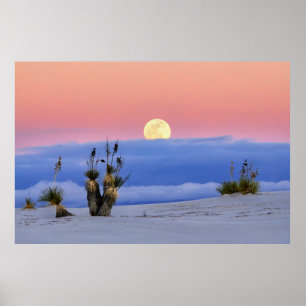 WHITE SAND POSTER