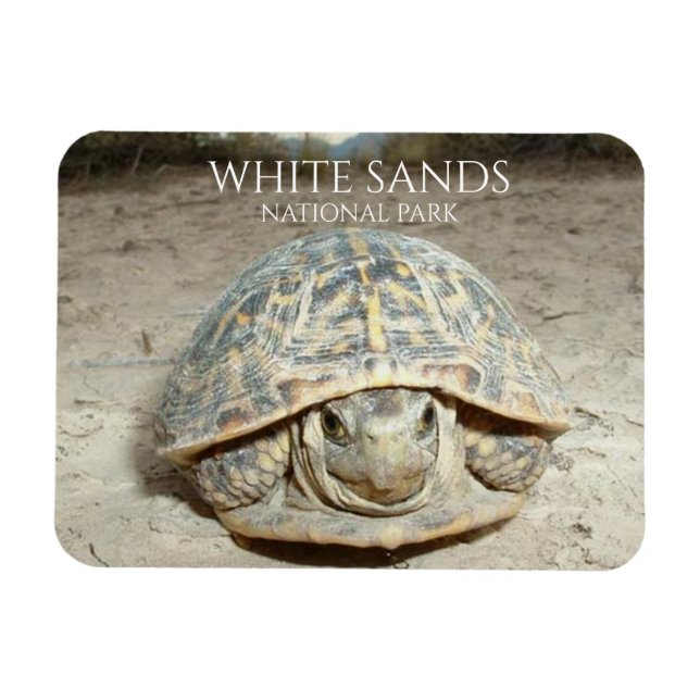 White Sands Desert Box Turtle Magnet (Horizontal)
