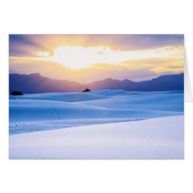 White Sands National Monument 3 (Front Horizontal)
