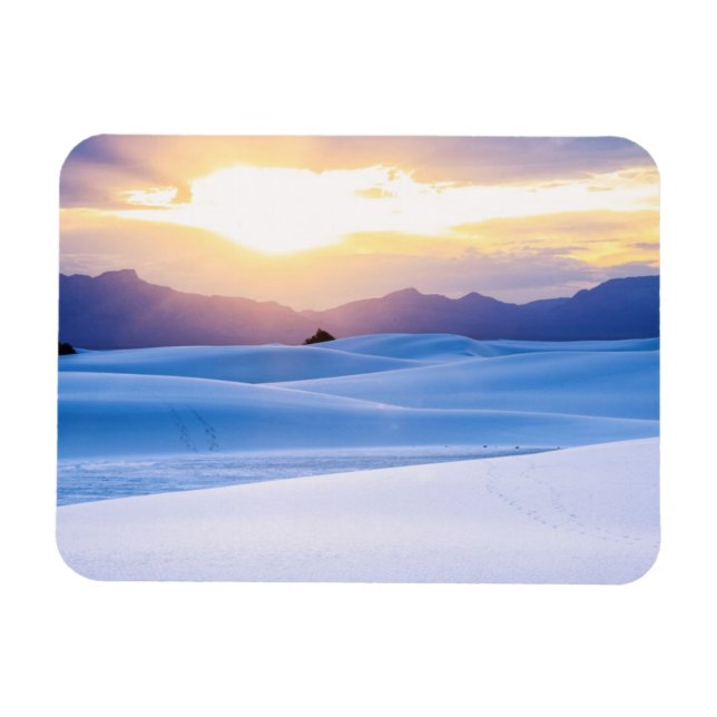 White Sands National Monument 3 Magnet (Horizontal)