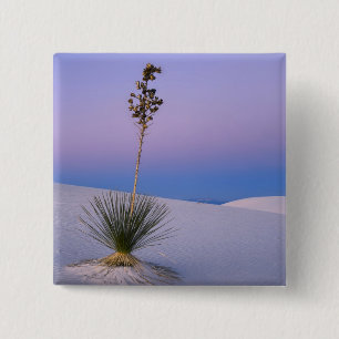 WHITE SANDS NATIONAL MONUMENT, NEW MEXICO. 15 CM SQUARE BADGE