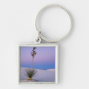 WHITE SANDS NATIONAL MONUMENT, NEW MEXICO. KEY RING